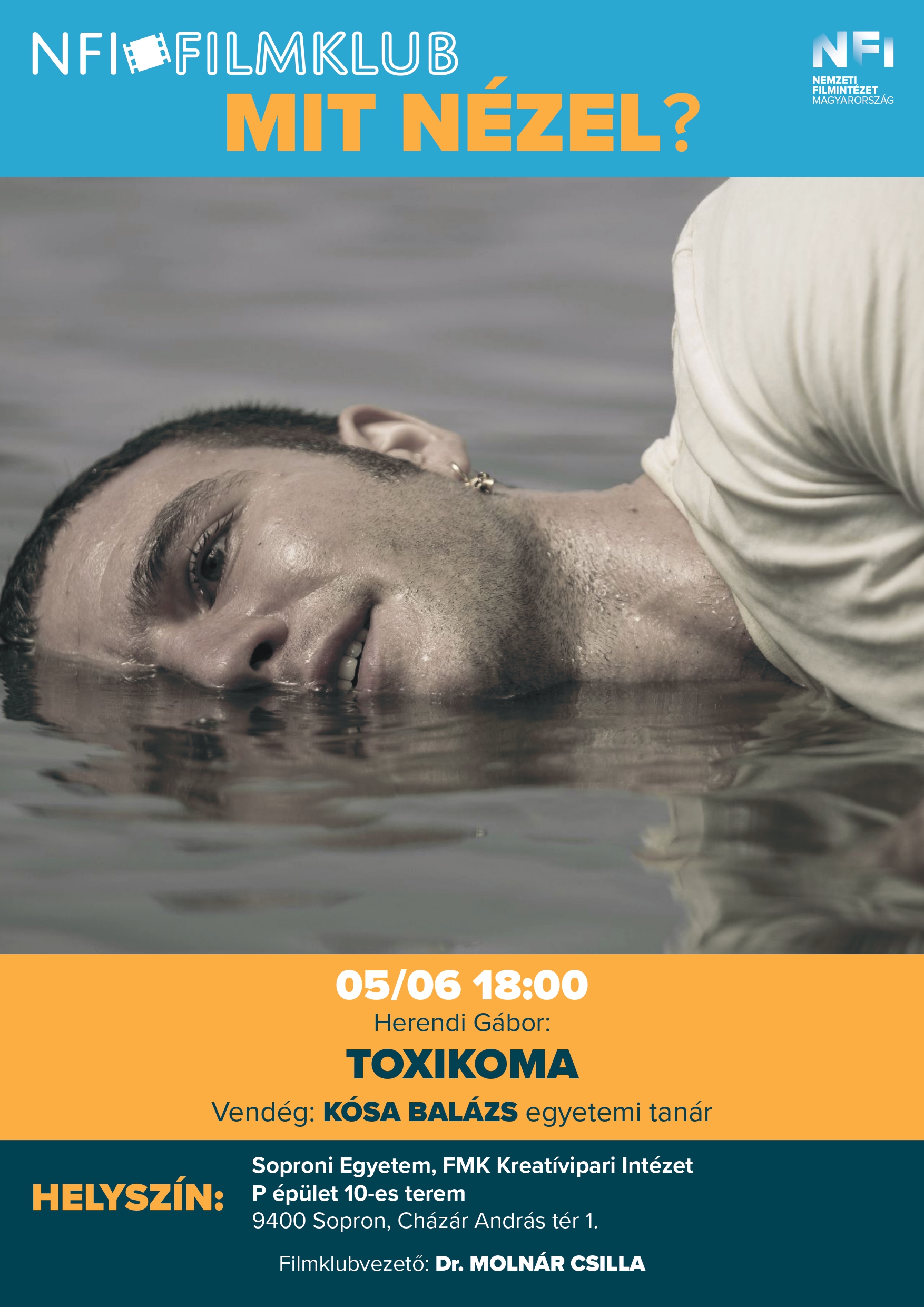 Toxikoma_plakat.jpg
